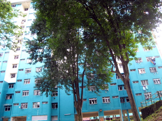 Blk 41 Telok Blangah Rise (Bukit Merah), HDB 3 Rooms #257902